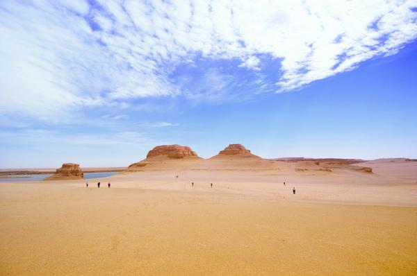 Tour Deserto Bianco e Valle delle Balene